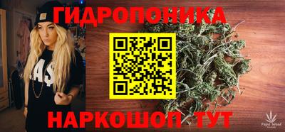 СК Гусев
