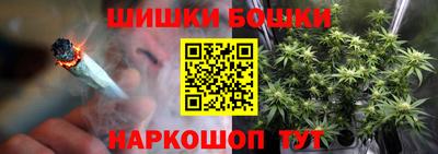 СК Гусев